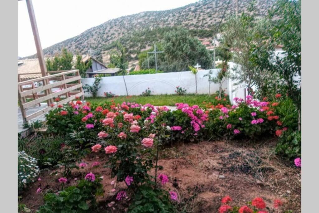 Lagonisi Magic Home Relaxation Καλύβια Θορικού Εξωτερικό φωτογραφία