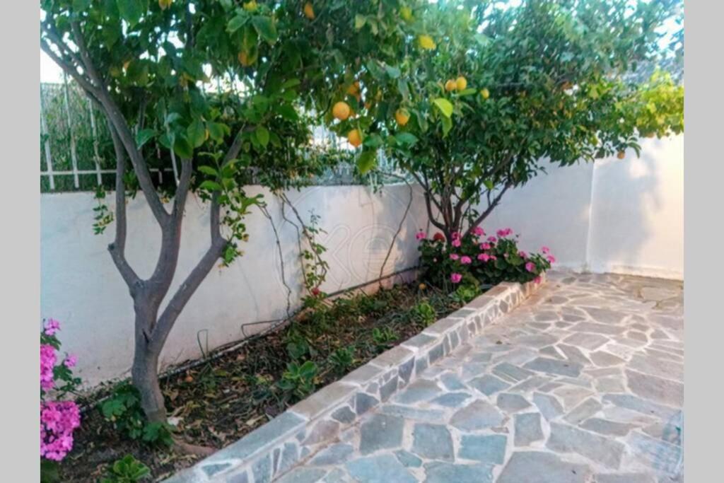 Lagonisi Magic Home Relaxation Καλύβια Θορικού Εξωτερικό φωτογραφία